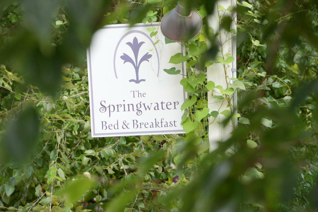 The Springwater Bed And Breakfast 사라토가 스프링스 외부 사진