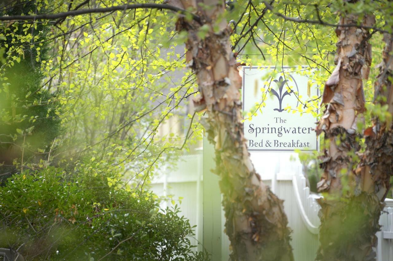 The Springwater Bed And Breakfast 사라토가 스프링스 외부 사진